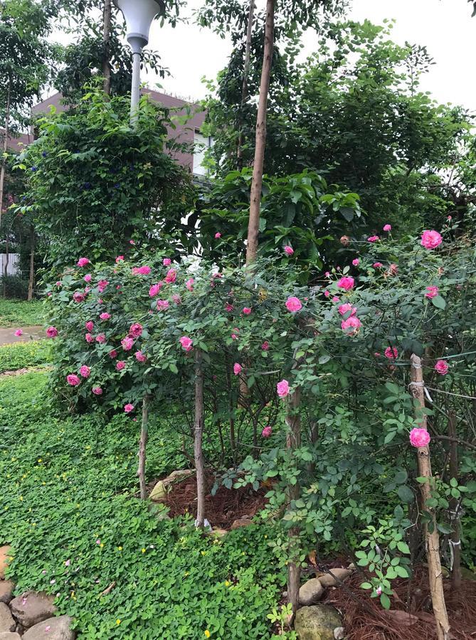 Flamingo Dailai - Hq Villa Ngoc Quang Exterior photo